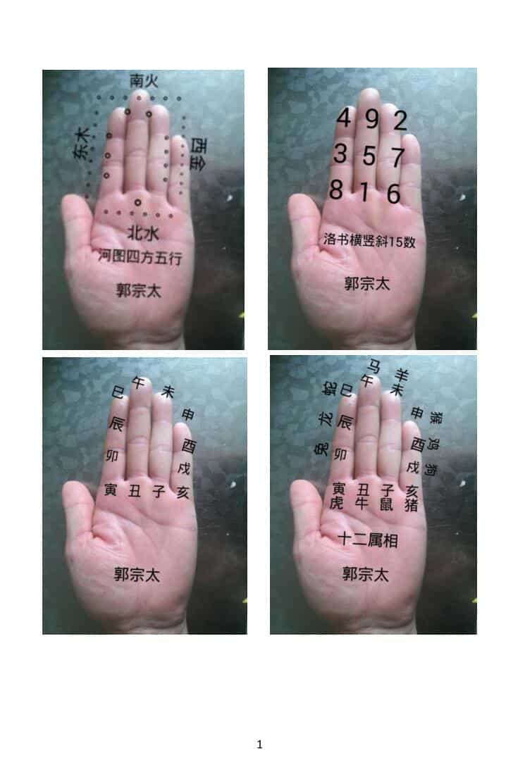 《易学130种掌诀》
